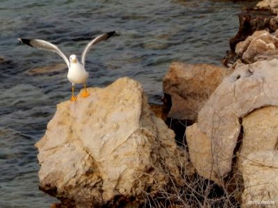 Κάντε κλικ για να δείτε την εικόνα σε πλήρες μέγεθος