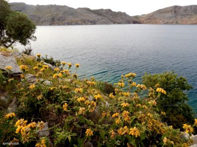 Κάντε κλικ για να δείτε την εικόνα σε πλήρες μέγεθος