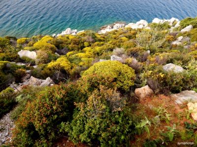 Κάντε κλικ για να δείτε την εικόνα σε πλήρες μέγεθος