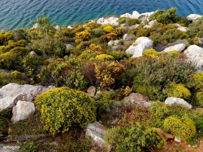 Κάντε κλικ για να δείτε την εικόνα σε πλήρες μέγεθος