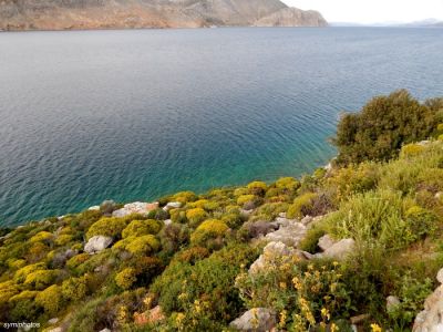 Κάντε κλικ για να δείτε την εικόνα σε πλήρες μέγεθος