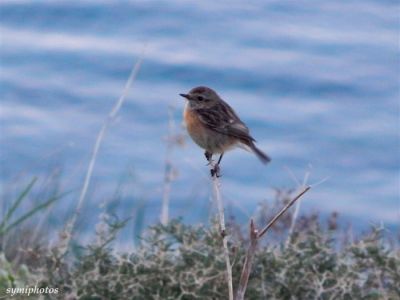 Κάντε κλικ για να δείτε την εικόνα σε πλήρες μέγεθος