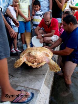 Κάντε κλικ για να δείτε την εικόνα σε πλήρες μέγεθος