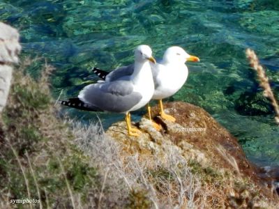 Κάντε κλικ για να δείτε την εικόνα σε πλήρες μέγεθος