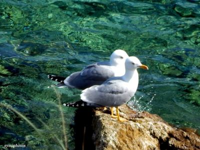 Κάντε κλικ για να δείτε την εικόνα σε πλήρες μέγεθος