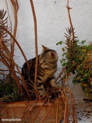 Κάντε κλικ για να δείτε την εικόνα σε πλήρες μέγεθος