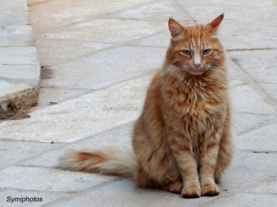 Κάντε κλικ για να δείτε την εικόνα σε πλήρες μέγεθος