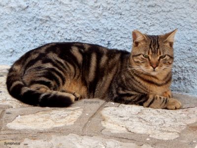 Tam boy resmi görebilmek için tıklayın