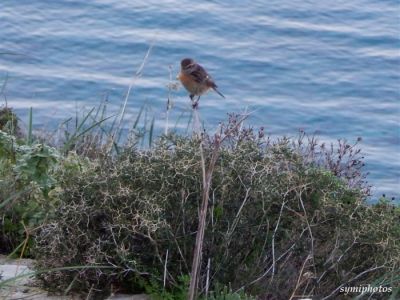 Κάντε κλικ για να δείτε την εικόνα σε πλήρες μέγεθος