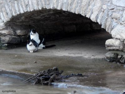 Κάντε κλικ για να δείτε την εικόνα σε πλήρες μέγεθος