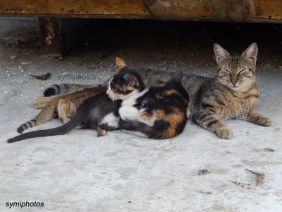 Κάντε κλικ για να δείτε την εικόνα σε πλήρες μέγεθος