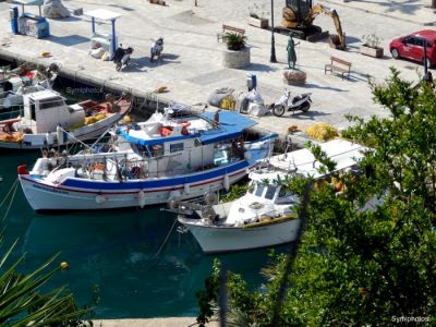 Tam boy resmi görebilmek için tıklayın