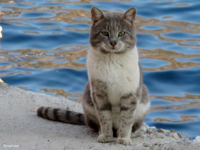 Tam boy resmi görebilmek için tıklayın