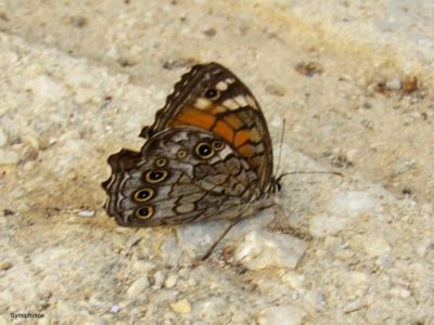 Κάντε κλικ για να δείτε την εικόνα σε πλήρες μέγεθος