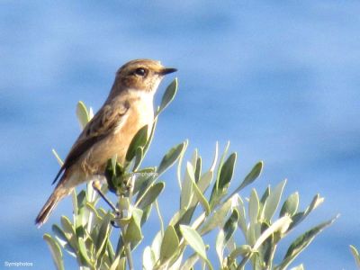 Κάντε κλικ για να δείτε την εικόνα σε πλήρες μέγεθος