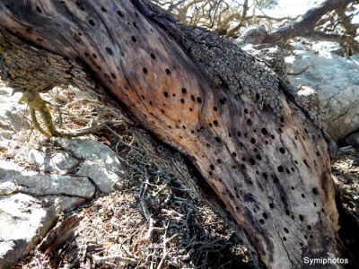 Κάντε κλικ για να δείτε την εικόνα σε πλήρες μέγεθος