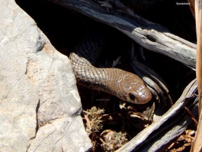 Κάντε κλικ για να δείτε την εικόνα σε πλήρες μέγεθος