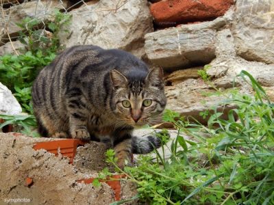 Κάντε κλικ για να δείτε την εικόνα σε πλήρες μέγεθος