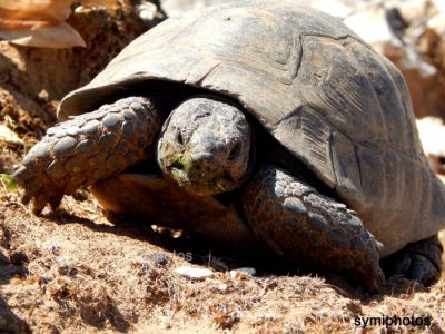 Κάντε κλικ για να δείτε την εικόνα σε πλήρες μέγεθος