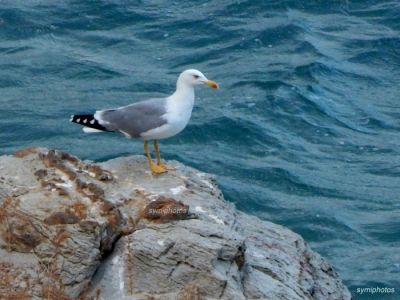 Κάντε κλικ για να δείτε την εικόνα σε πλήρες μέγεθος