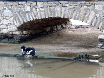 Κάντε κλικ για να δείτε την εικόνα σε πλήρες μέγεθος