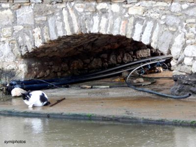 Κάντε κλικ για να δείτε την εικόνα σε πλήρες μέγεθος