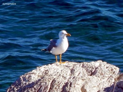 Κάντε κλικ για να δείτε την εικόνα σε πλήρες μέγεθος