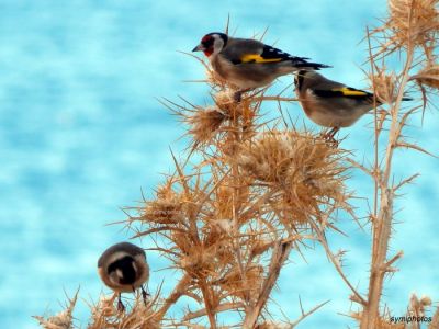 Κάντε κλικ για να δείτε την εικόνα σε πλήρες μέγεθος