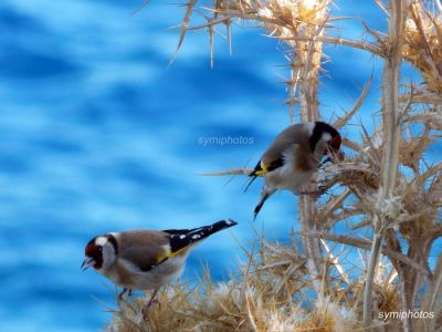 Κάντε κλικ για να δείτε την εικόνα σε πλήρες μέγεθος