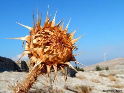 Κάντε κλικ για να δείτε την εικόνα σε πλήρες μέγεθος