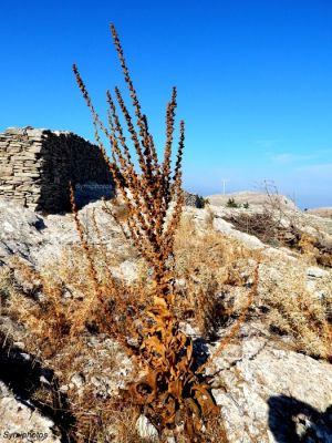 Κάντε κλικ για να δείτε την εικόνα σε πλήρες μέγεθος