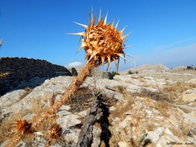 Κάντε κλικ για να δείτε την εικόνα σε πλήρες μέγεθος