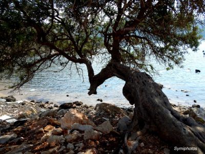 Κάντε κλικ για να δείτε την εικόνα σε πλήρες μέγεθος