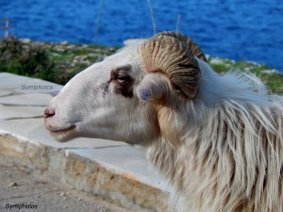 Κάντε κλικ για να δείτε την εικόνα σε πλήρες μέγεθος