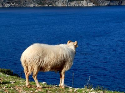 Κάντε κλικ για να δείτε την εικόνα σε πλήρες μέγεθος