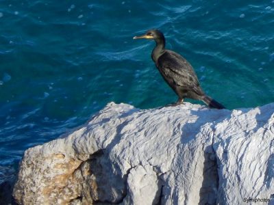 Κάντε κλικ για να δείτε την εικόνα σε πλήρες μέγεθος