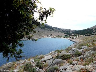 Tam boy resmi görebilmek için tıklayın