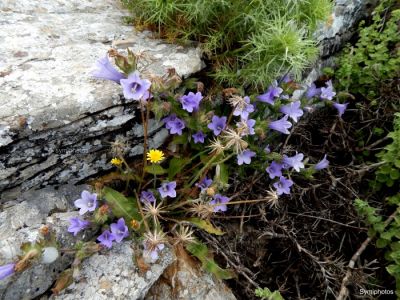 Κάντε κλικ για να δείτε την εικόνα σε πλήρες μέγεθος