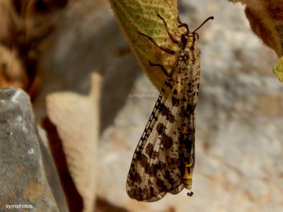 Κάντε κλικ για να δείτε την εικόνα σε πλήρες μέγεθος