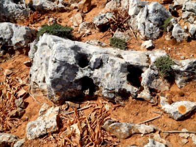 Κάντε κλικ για να δείτε την εικόνα σε πλήρες μέγεθος