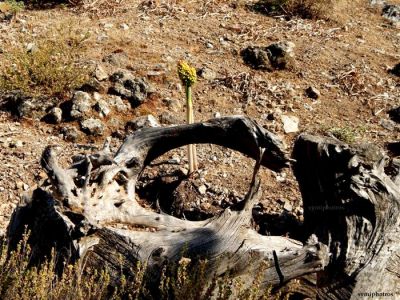 Κάντε κλικ για να δείτε την εικόνα σε πλήρες μέγεθος