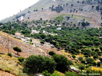 Tam boy resmi görebilmek için tıklayın