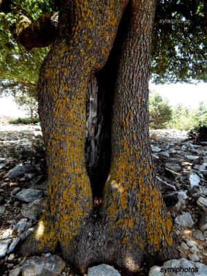 Κάντε κλικ για να δείτε την εικόνα σε πλήρες μέγεθος