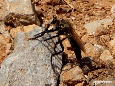 Κάντε κλικ για να δείτε την εικόνα σε πλήρες μέγεθος