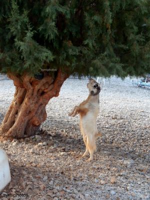 Κάντε κλικ για να δείτε την εικόνα σε πλήρες μέγεθος