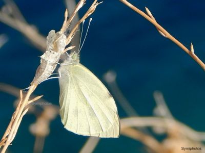 Κάντε κλικ για να δείτε την εικόνα σε πλήρες μέγεθος