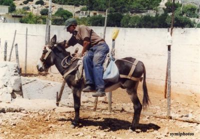 Tam boy resmi görebilmek için tıklayın