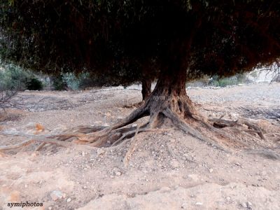 Κάντε κλικ για να δείτε την εικόνα σε πλήρες μέγεθος