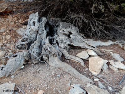 Κάντε κλικ για να δείτε την εικόνα σε πλήρες μέγεθος