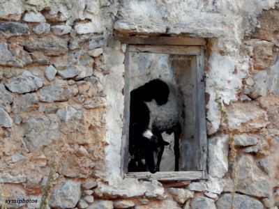 Κάντε κλικ για να δείτε την εικόνα σε πλήρες μέγεθος